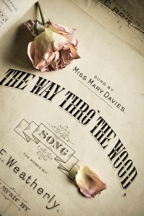The Way thru the Wood_
