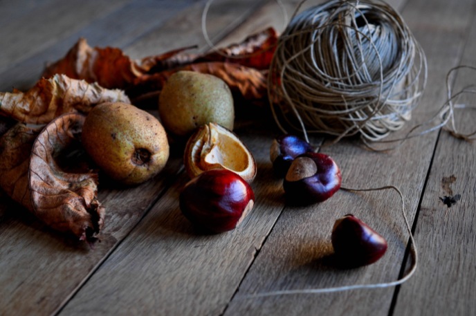 Conkers Leaf String