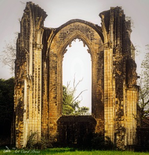 Abbey Ruins 13