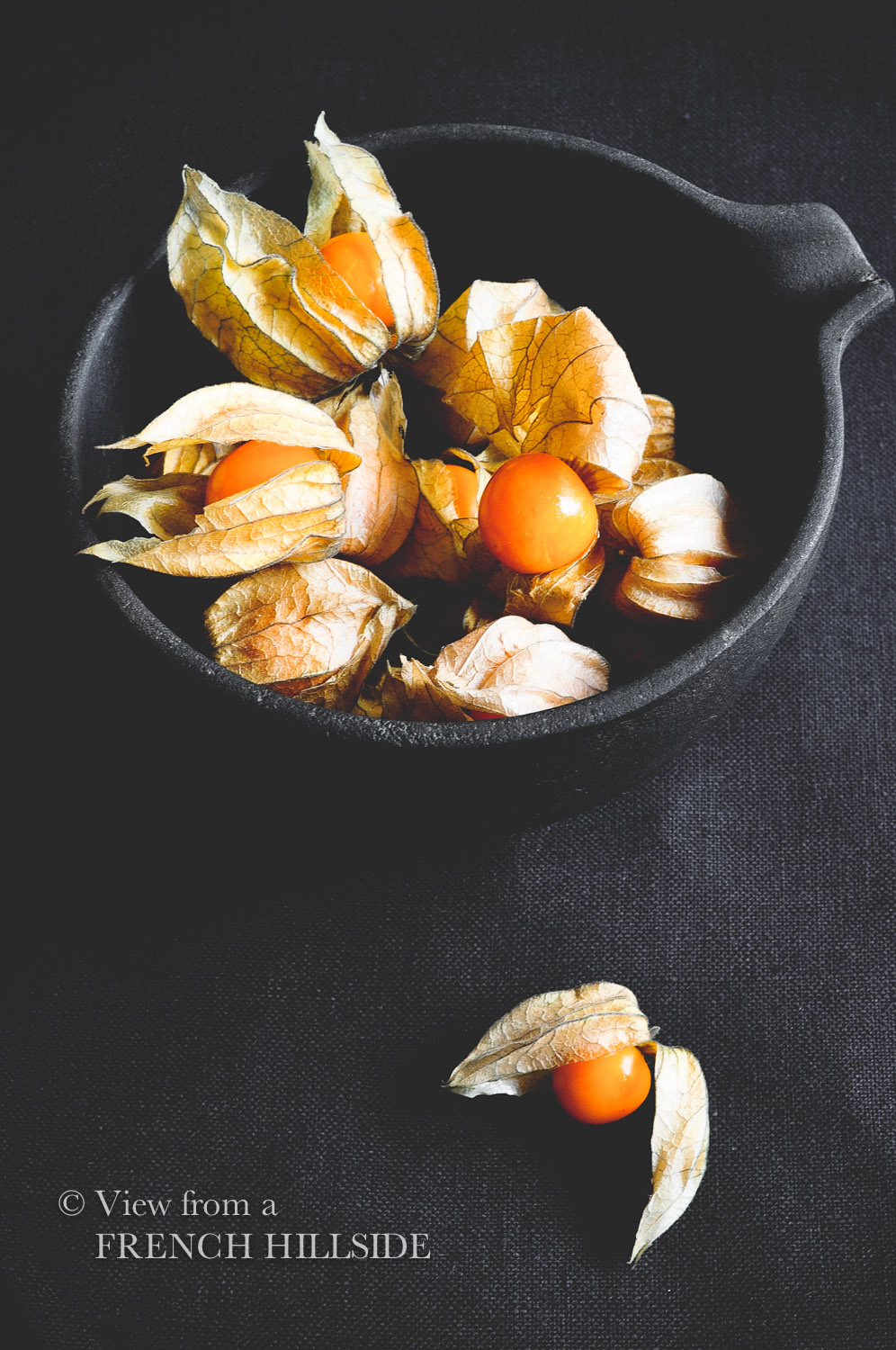 Physalis is the exotic fruit that stands out - Nature's Pride