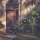 Thursday Doors - Garden Gate & Dappled Sun